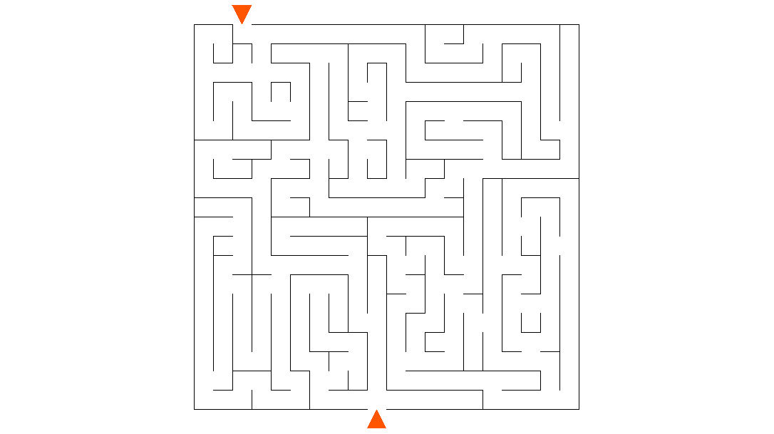 The maze.